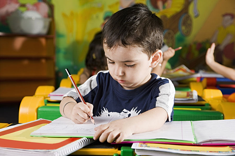 Play Group (2–3 Years)